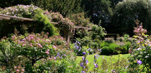 Bois des Moutiers (10) Summer 2012